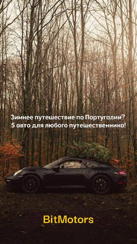 **Планируете зимнее путешествие по Португалии?** ***🚗******❄️*** …