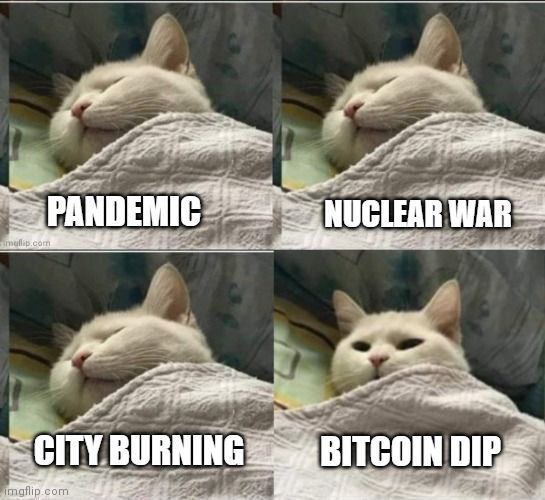 Stay calm… until BTC dips. ***😼******🚀***