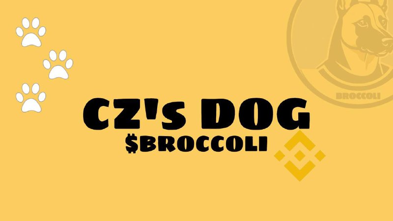 *****🪙********🐕*** $BROCCOLI **– The Ultimate CZ …