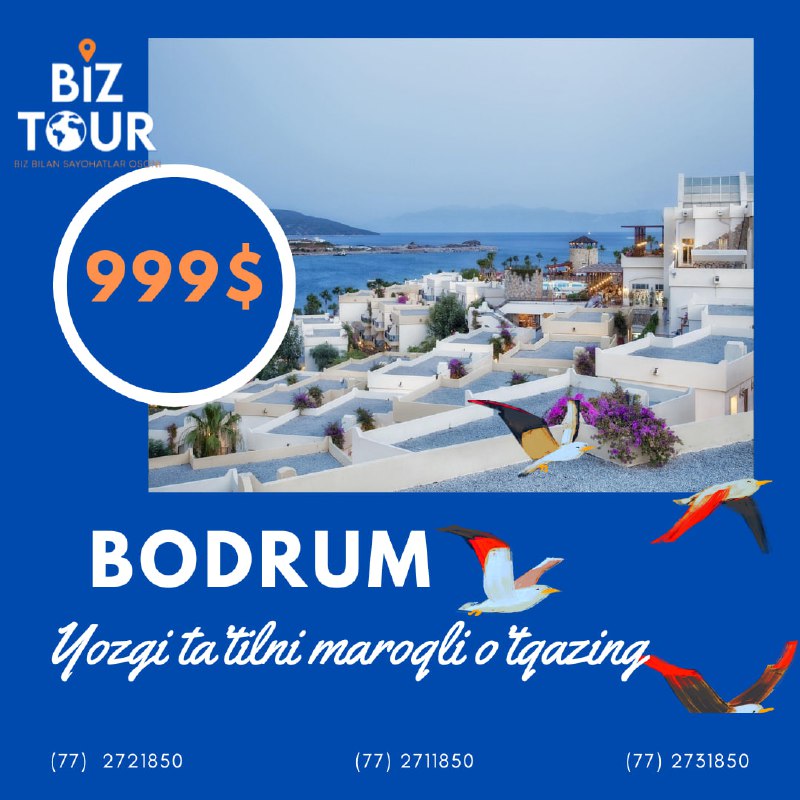 **Bodrum** xuddi shu nomdagi yarim oroldagi …