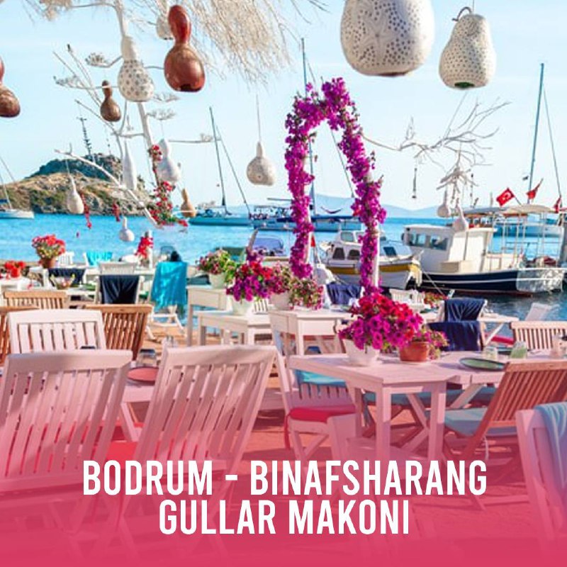 **Bodrum - binafsharang gullar makoni**