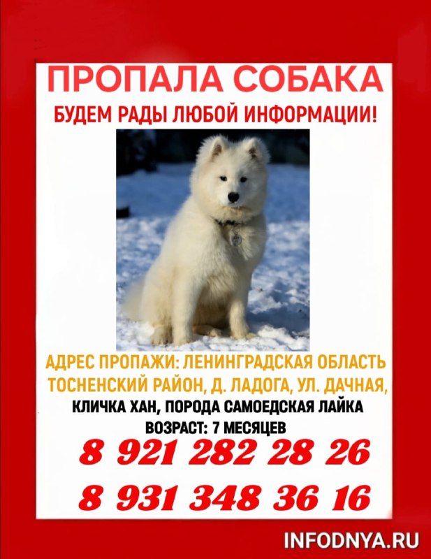 Если у меня тут есть питерцы …