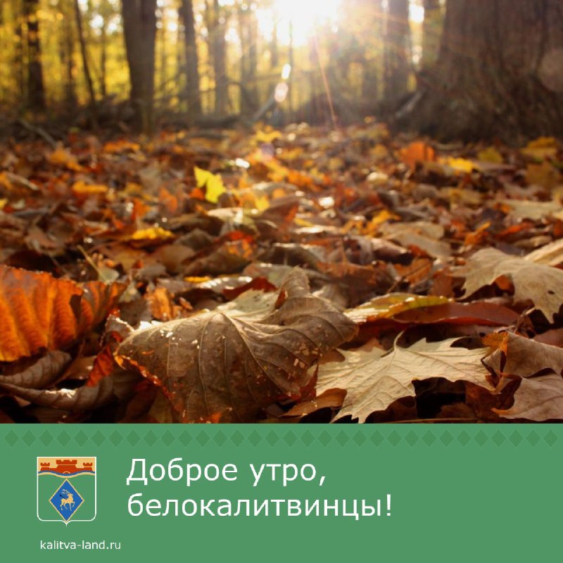 ***☀️*** Доброе утро, белокалитвинцы!