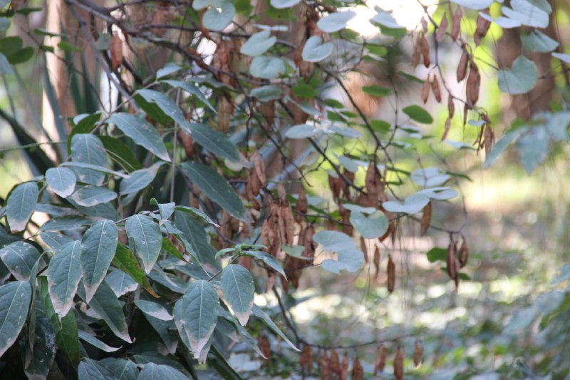 من و خواجه نصیر