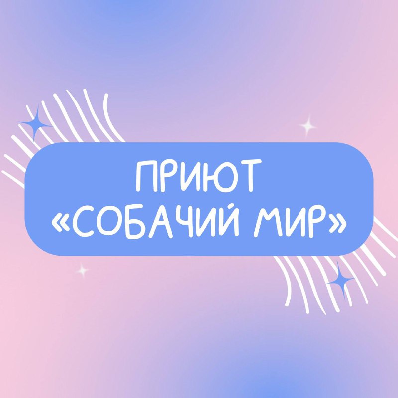 **Спасаем, заботимся, ищем хозяев.** ***🦮***