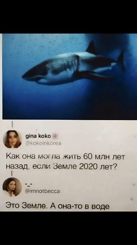 Йоффи Пиккок