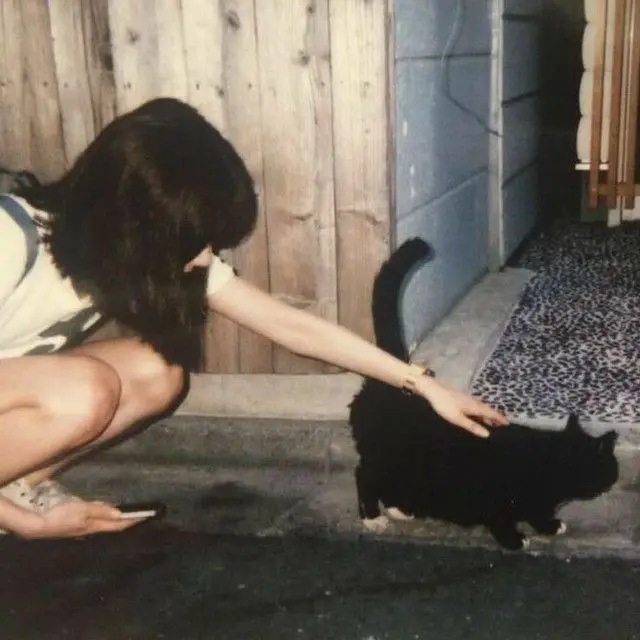 ?????‌ ‌??? ?‍⬛?