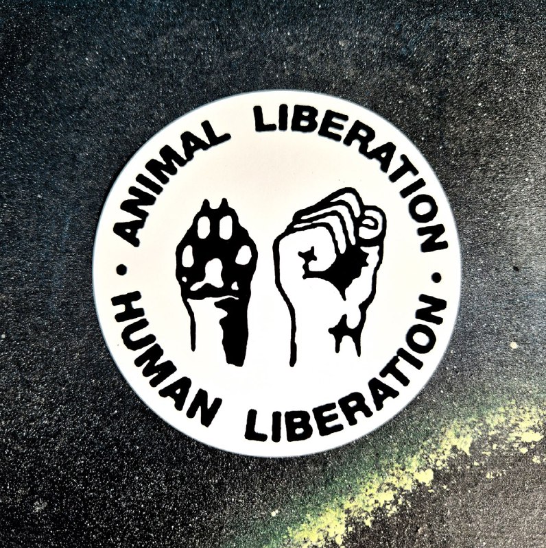 **Animal &amp; Human Liberation**