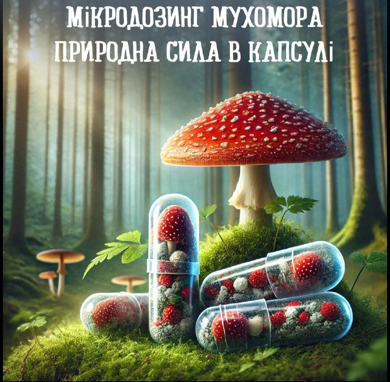 ***🍁******💊***Мікродозинг мухомора - гармонія природи для …