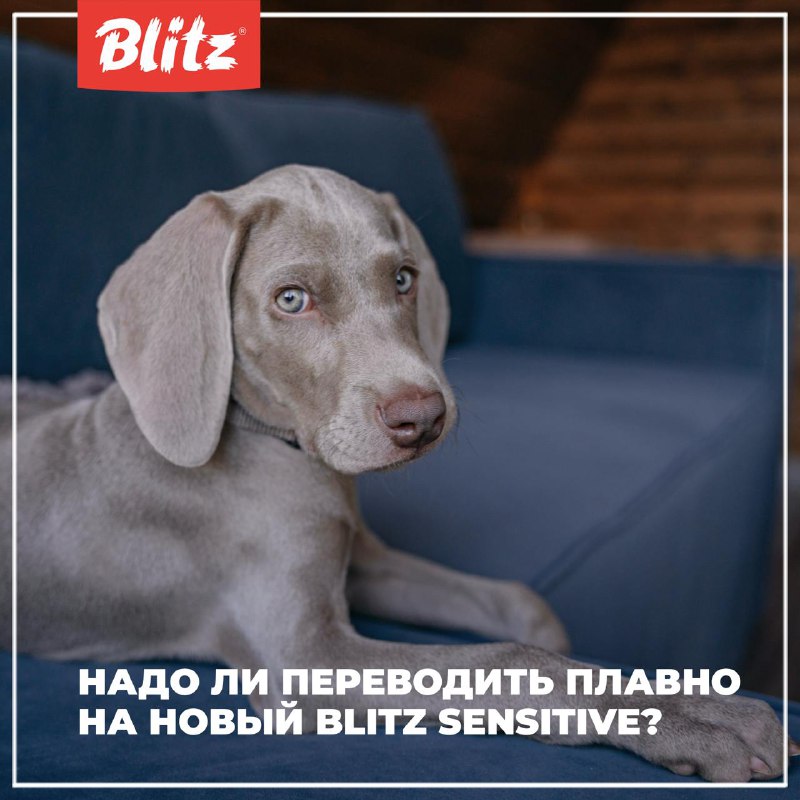 ОБНОВЛЕННЫЙ BLITZ SENSITIVE. НУЖНО ЛИ ПЕРЕВОДИТЬ …