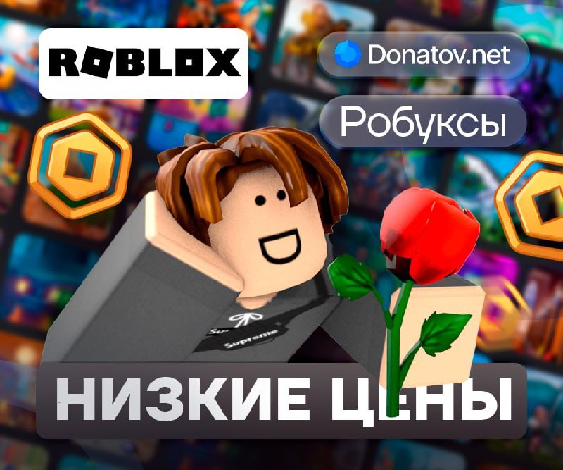 **СКИНЫ ИЛИ ДОПОЛНИТЕЛЬНЫЕ ВОЗМОЖНОСТИ?** ***😺***