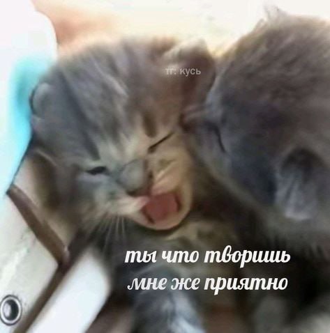Спокойной ночи, сладенькие булочки!