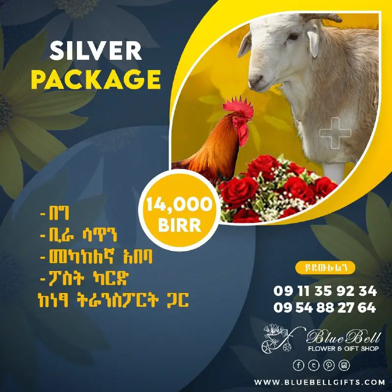 [#Silver\_Package](?q=%23Silver_Package)