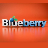 BlueBerry - конфиденциальность, надежность, доверие!***🕊***