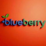 **Многоуважаемые пользователи сервиса "Blueberry / Голубика"**, …