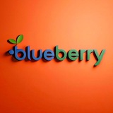 BlueBerry - конфиденциальность, надежность, доверие!***🕊***