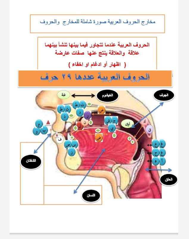قناة الأرقم النسائية للعلوم الشرعية - …