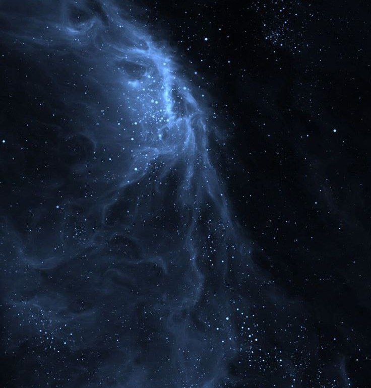 ***پس از تحمل آن‌همه درد،