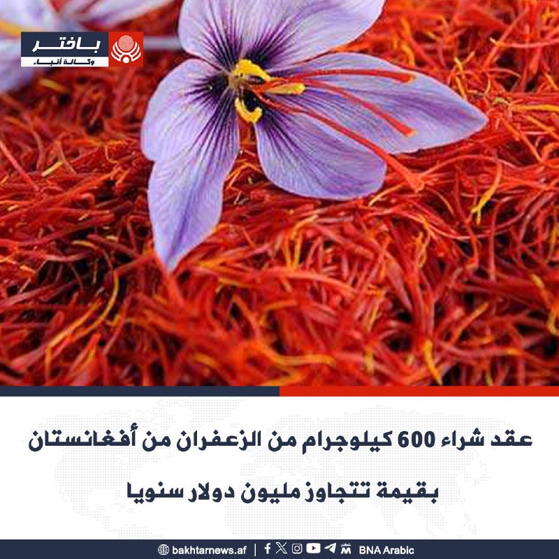 أفادت الوكالة الأمريكية للتنمية الدولية، بأنه …
