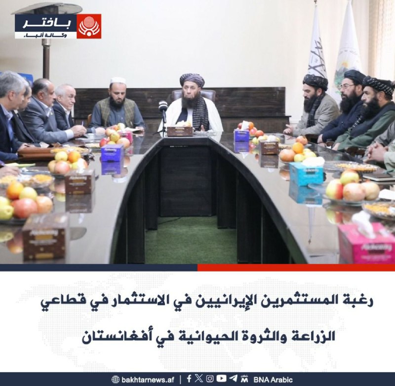 التقى المولوي صدر أعظم عثماني، وكيل …