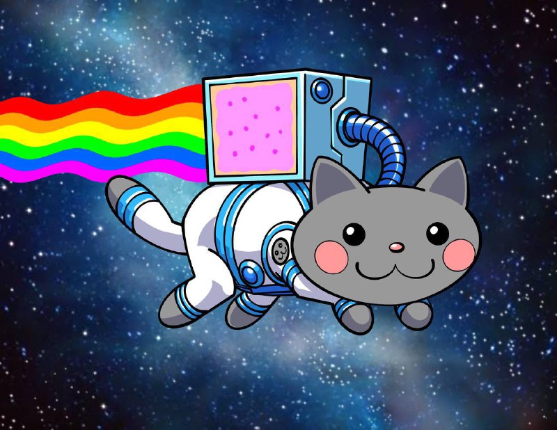 ***🚀*** **NYAN is Taking Off – …