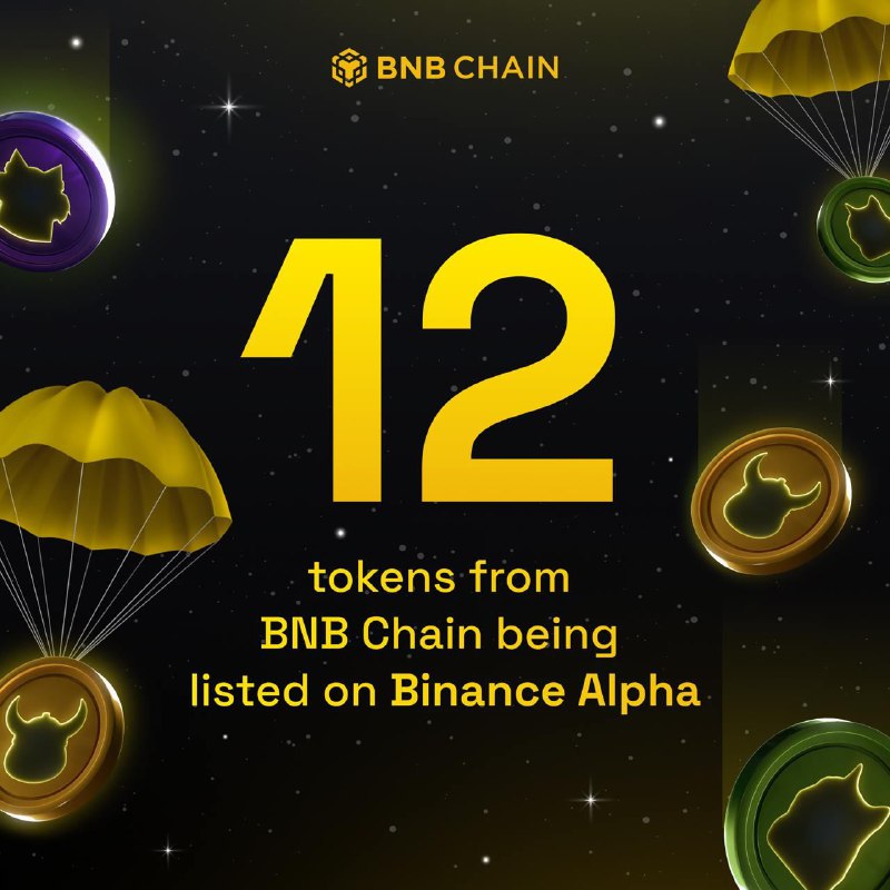 12 dự án trên BNB Chain …