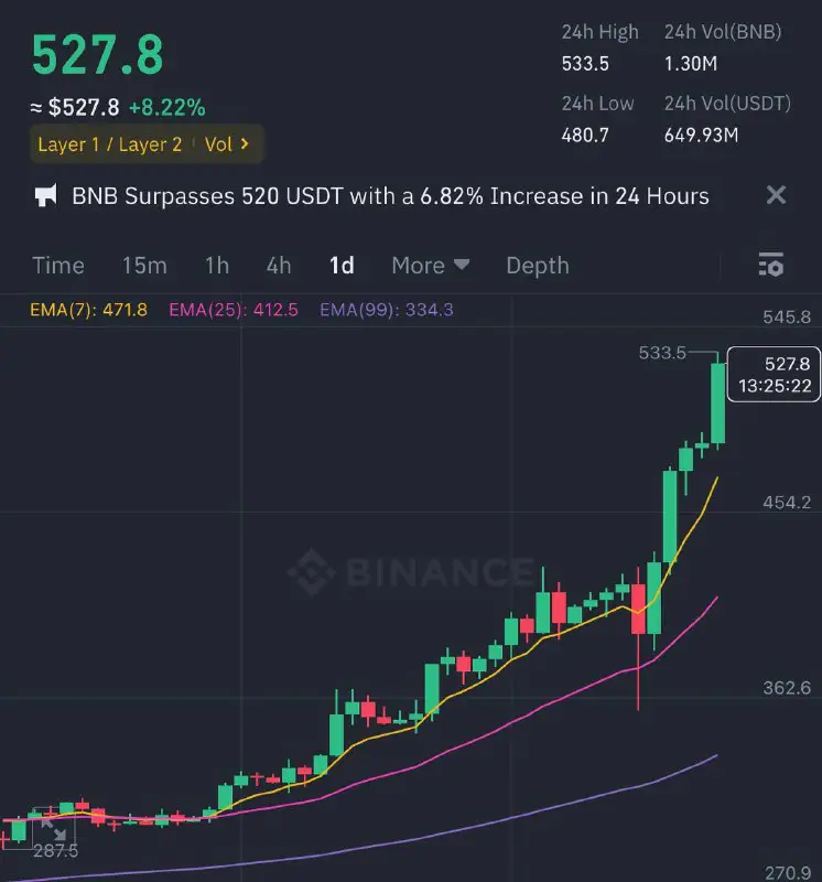 ***🔶*****BNB** JUST HIT 520+