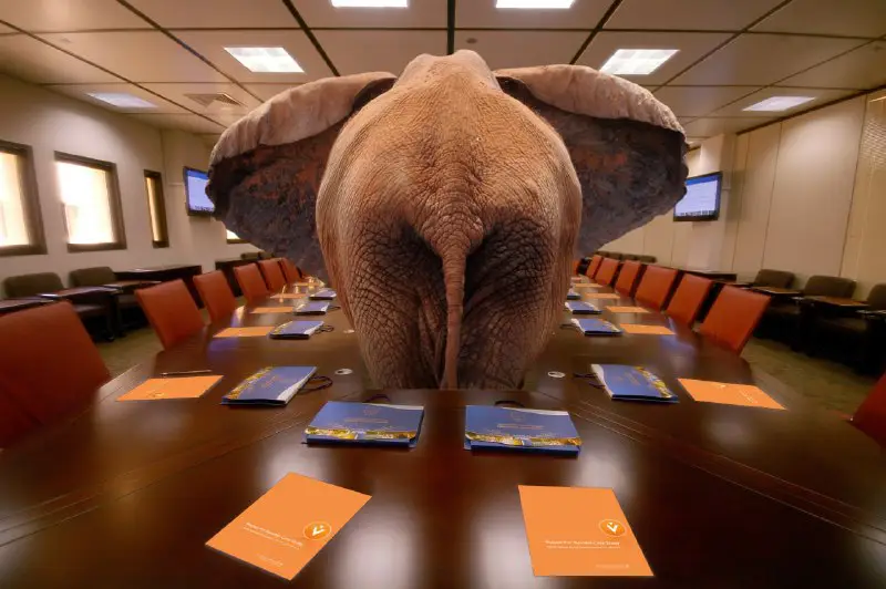 **the elephant in the room:***Neither the …