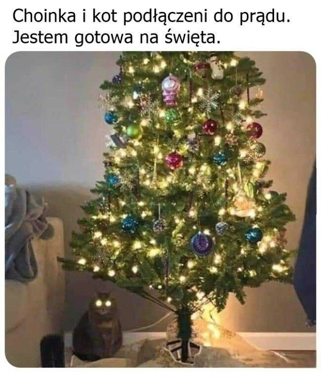 Światełka ogarnięte