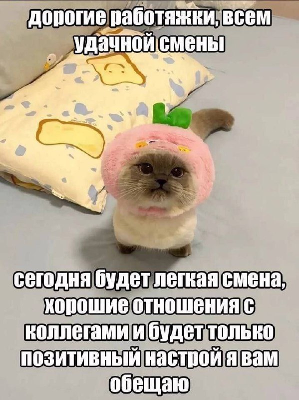 Всем удачной смены