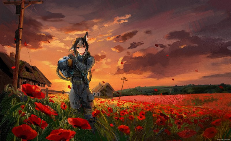 stalker's poppy field