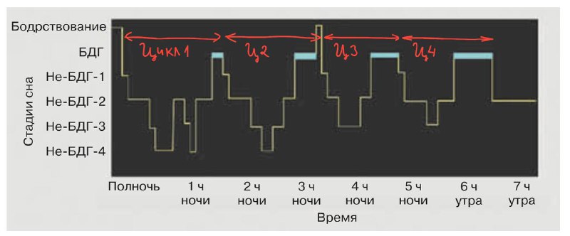 **Бодрость после 4,5 часов сна. Как …