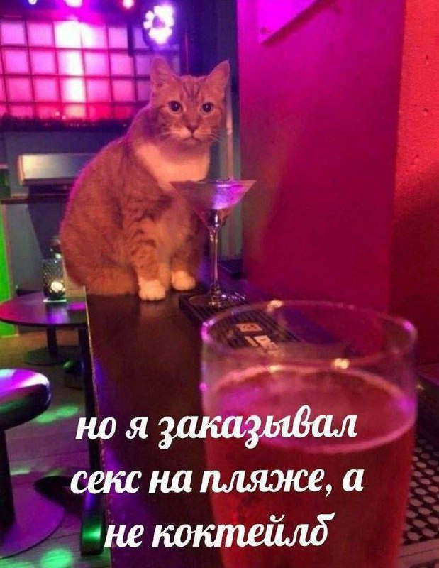 [#классика](?q=%23%D0%BA%D0%BB%D0%B0%D1%81%D1%81%D0%B8%D0%BA%D0%B0)