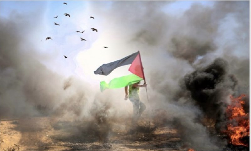 Palestina 2-8 de diciembre 2024: «Incluso …