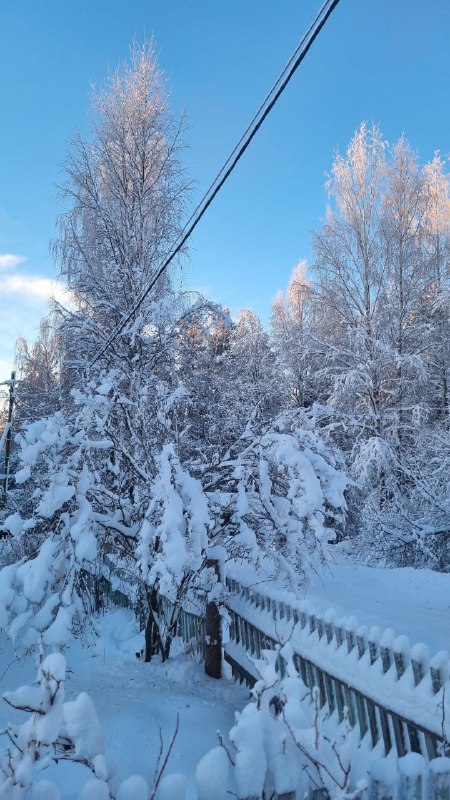 Бомба замедленного действия