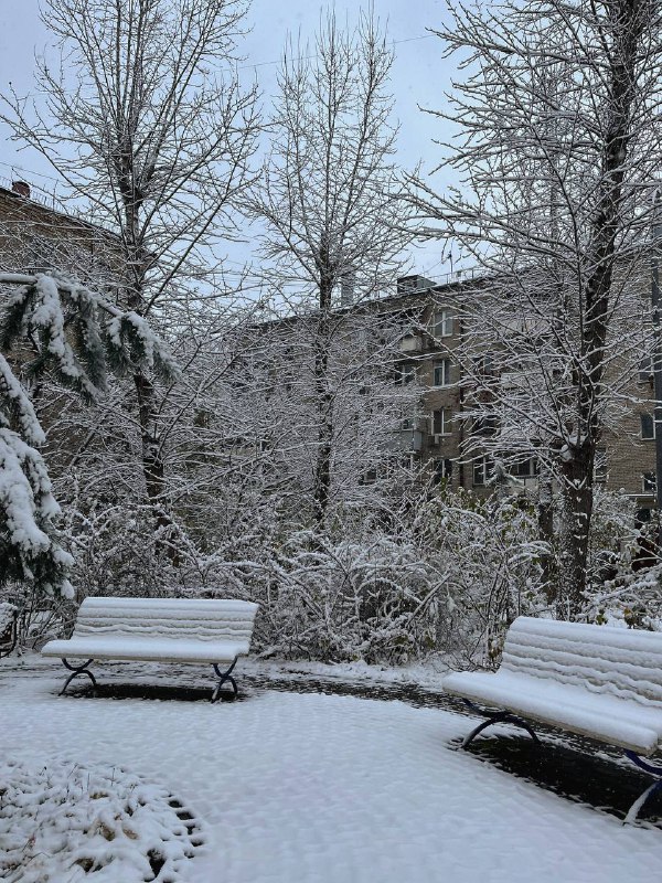 опять срежиссированный день..***🌨️******🕊️***