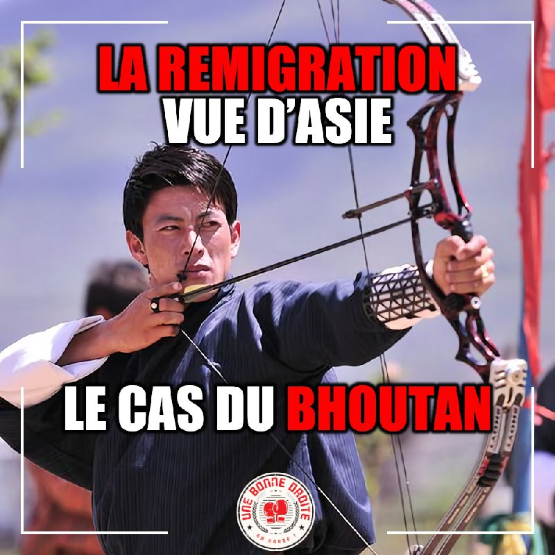 ***?******✈️*** **La remigration vue d'Asie : …