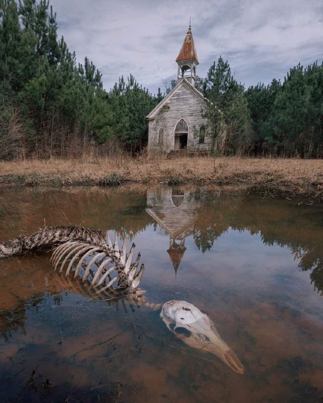 Вальс на костях