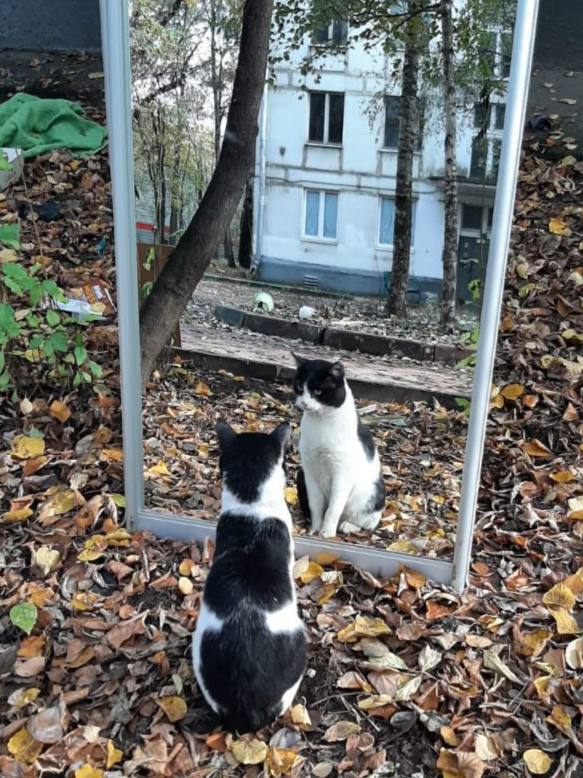 **нас с вами тут объединяет любовь …