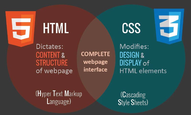 **Современный** ***👩‍💻*** **HTML и** ***👩‍💻*** **CSS …