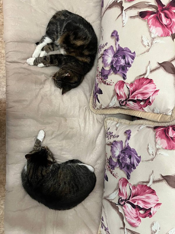 Зло дремлет***😈***