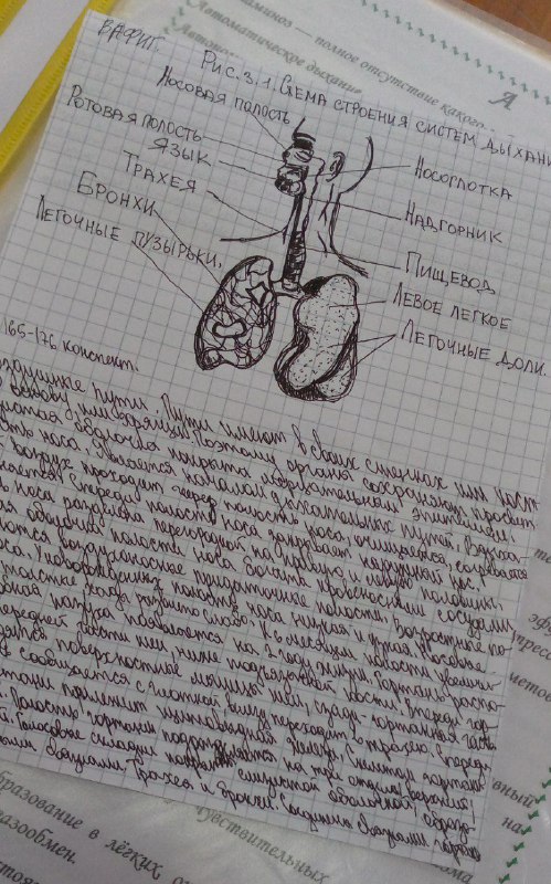 Вчерашний день оказался настоящим испытанием, полным …