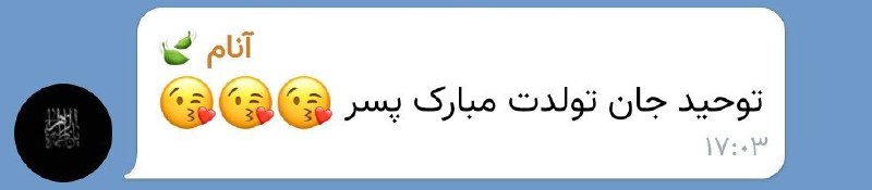 ممنونم مادر...ممنونم...