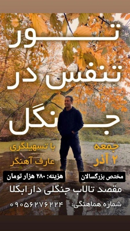 ***🌿***# *تنفس\_در\_جنگل* ***🌿***