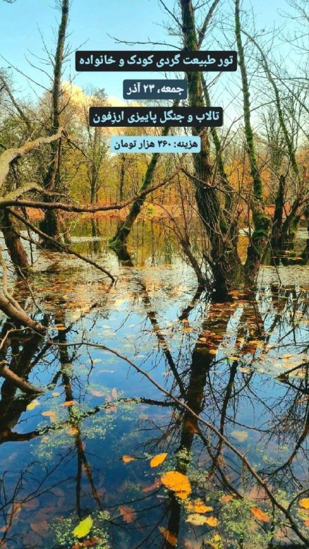 ***🌱***طبیعت‌گردی [#کودک\_و\_خانواده](?q=%23%DA%A9%D9%88%D8%AF%DA%A9_%D9%88_%D8%AE%D8%A7%D9%86%D9%88%D8%A7%D8%AF%D9%87)***🌱***