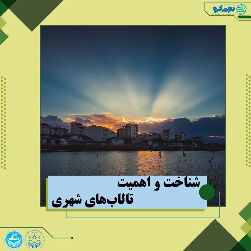 تالاب‌های شهری گنجینه‌ای در خطر!