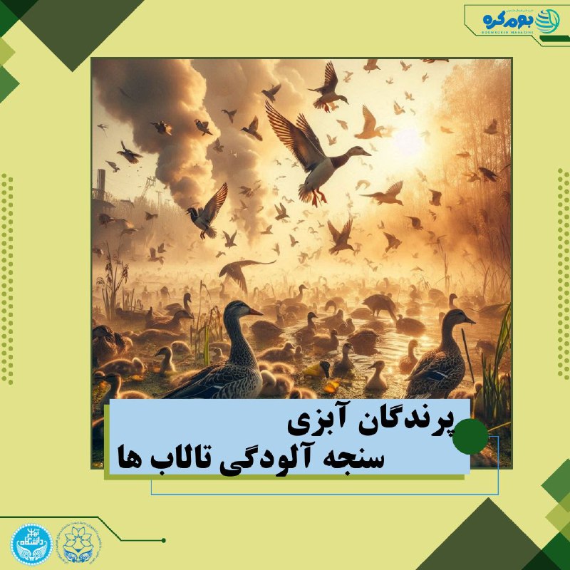***📚***پرندگان آبزی، نشانگرهای زیستی برای میزان …