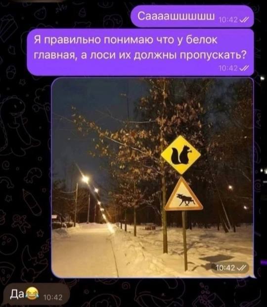BU portal