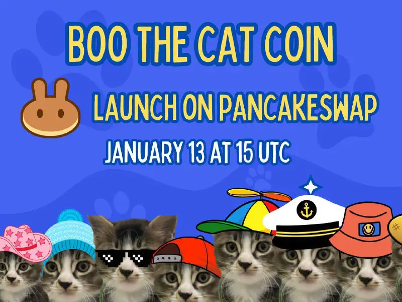 **BOO THE CAT COIN LAUNCH DAY**After …