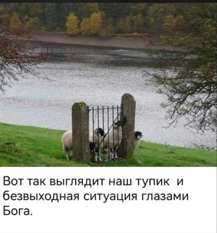 Вдохновили меня с утра... ***🤭******😅******😁***